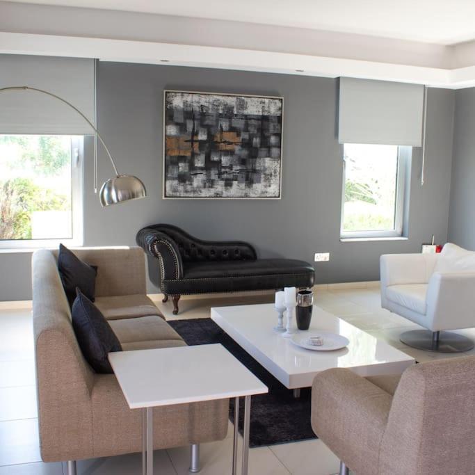 Villa Artemis Larnaca Bagian luar foto