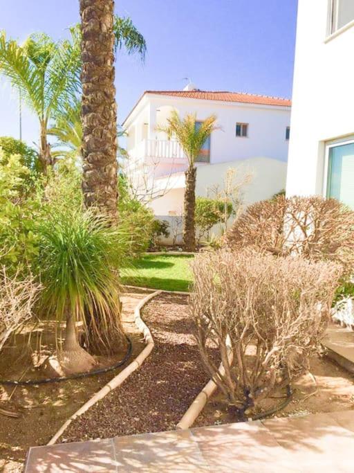 Villa Artemis Larnaca Bagian luar foto